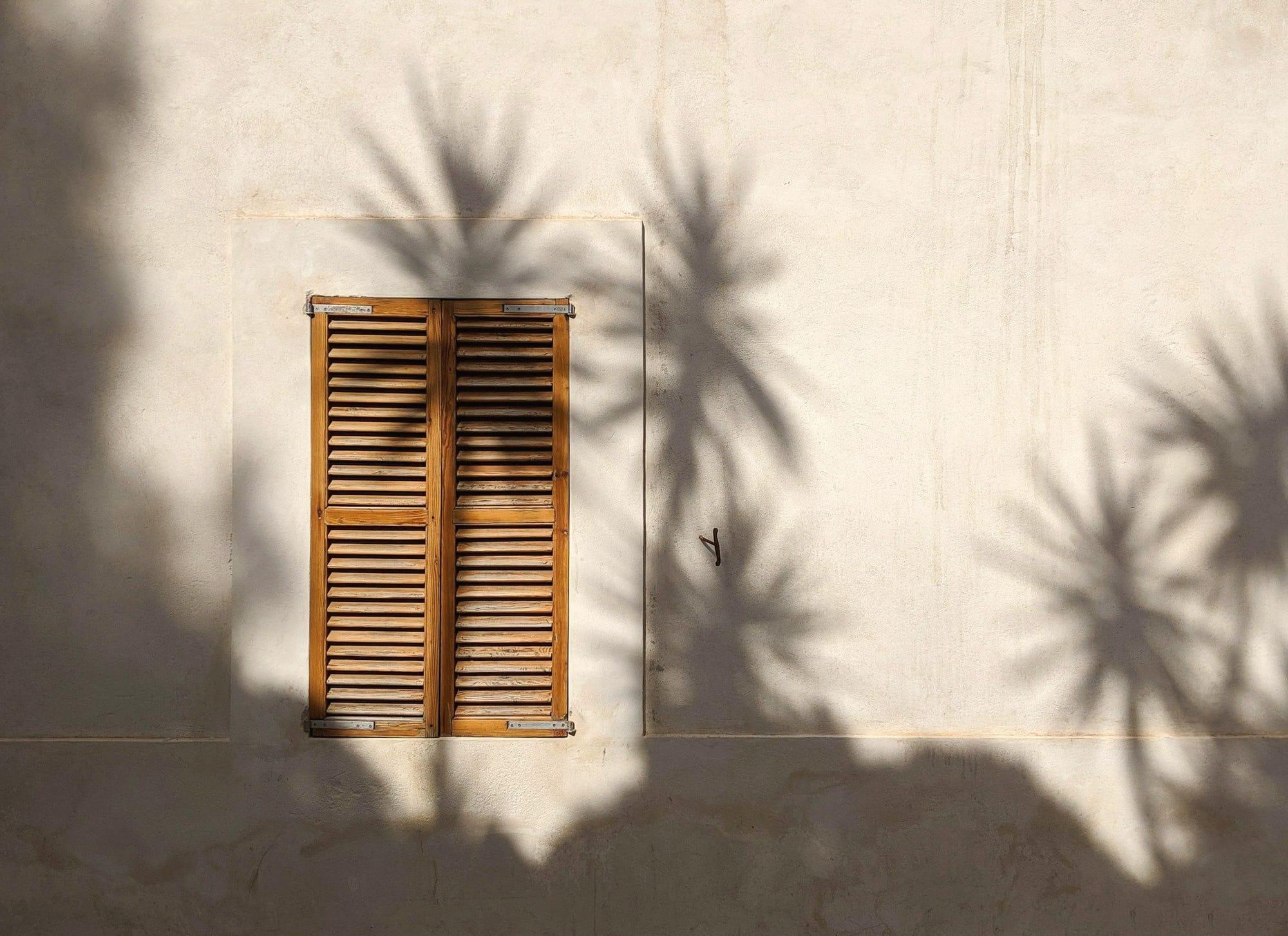 Persiane in legno chiuse su un muro bianco, con le ombre delle palme nel sole di mezzogiorno